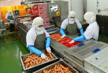 FOREIGN INVESTORS ESTABLISH FOOD PROCESSING BUSINESS