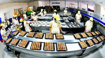 FOREIGN INVESTORS ESTABLISH FOOD PROCESSING ENTERPRISES