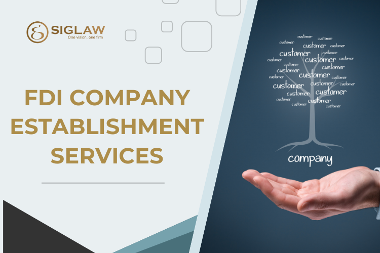Law And Firm Service