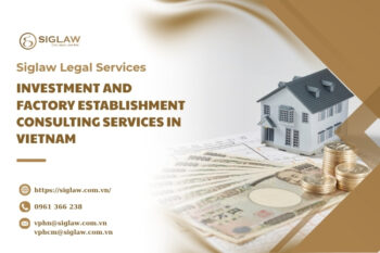 Investment and factory establishment consulting services in Vietnam