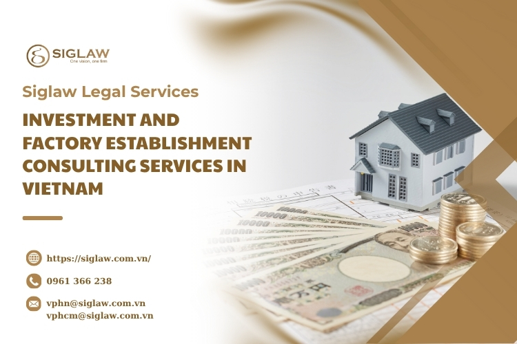 Investment and factory establishment consulting services in Vietnam