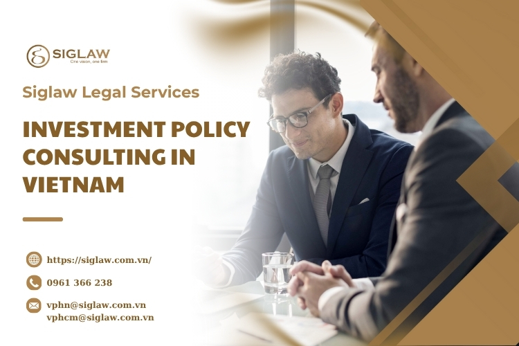 Investment Policy Consulting in Vietnam