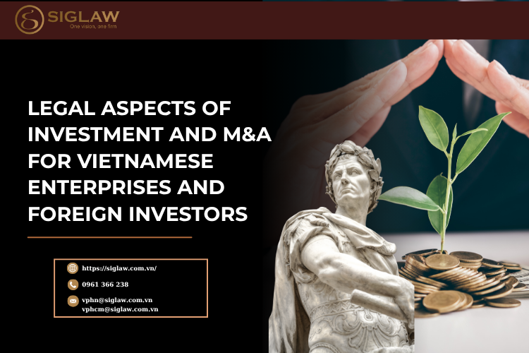 Legal Aspects of Investment and M&A for Vietnamese Enterprises and Foreign Investors