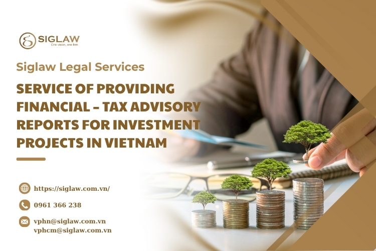 Service of providing financial – tax advisory reports for investment projects in Vietnam