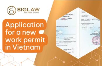 Application for a new work permit in Vietnam