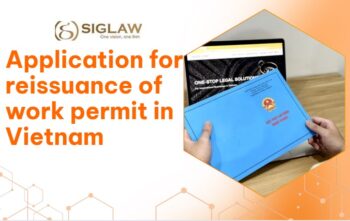Application for reissuance of work permit in Vietnam