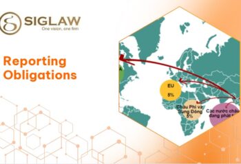 REPORTING REGIME FOR OUTBOUND INVESTMENT ACTIVITIES