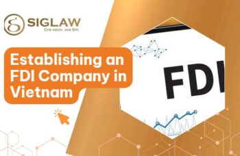 FDI Company Incorporation Services / Foreign-Invested Enterprise