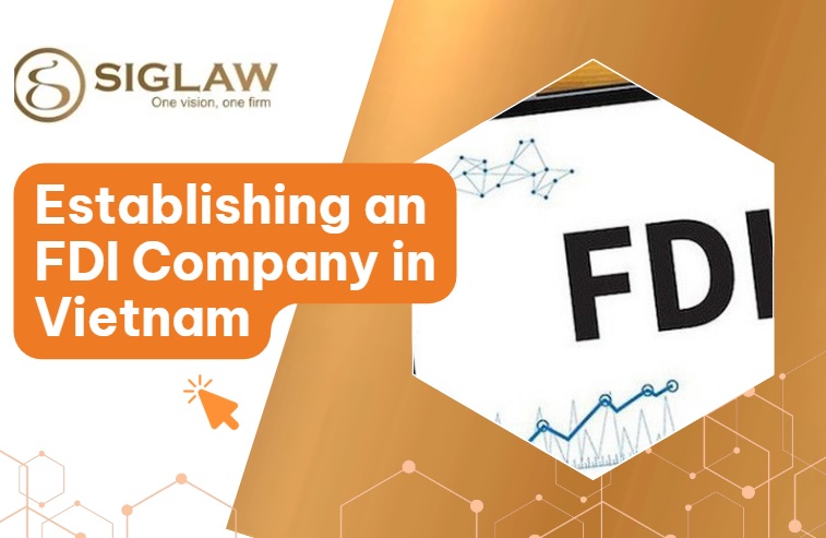 FDI Company Incorporation Services / Foreign-Invested Enterprise