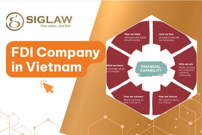 Proof of Financial Capacity for the Establishment of an FDI Company