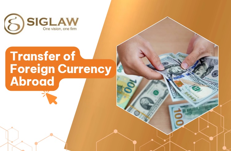 Transfer of Foreign Currency Abroad by FDI Enterprises